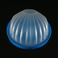 D80-113g磨砂扇貝